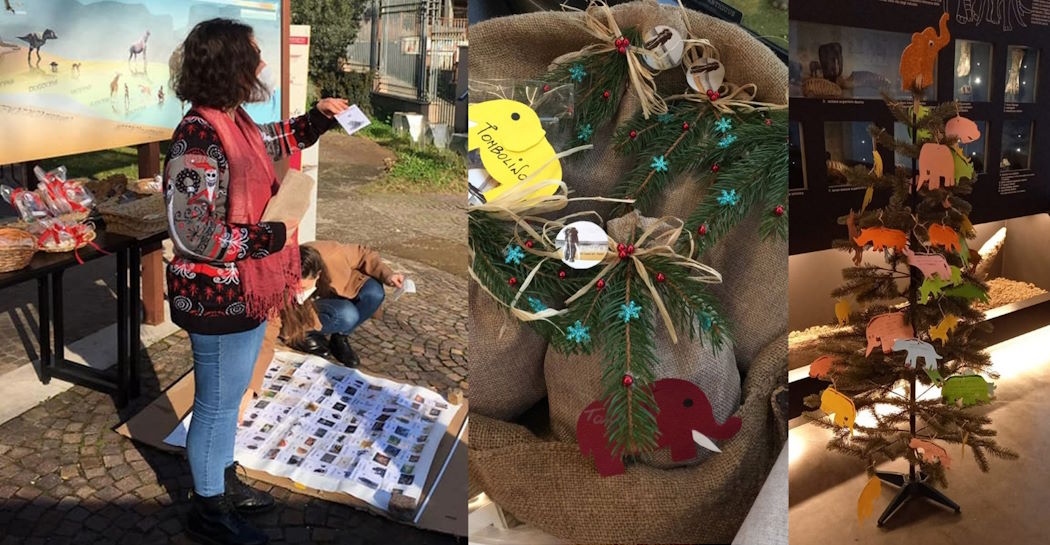 Alcune immagini delle iniziative natalizie al Museo di Casal de’ Pazzi del 2021 (da sx a dx: I volontari del Servizio Civile Universale 2021-22 durante la tombolata; alcuni premi della tombolata; l’albero di Natale decorato dai visitatori)