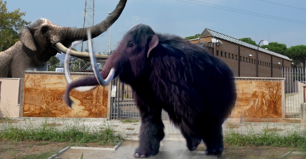 Elefanti contro mammuth