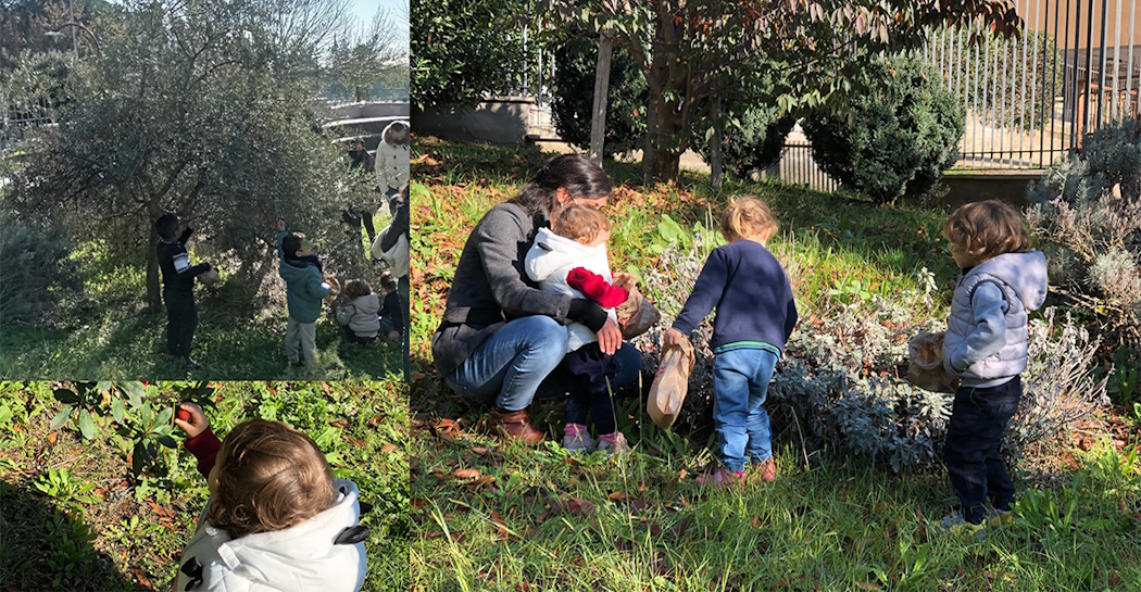 Bambini e adulti raccolgono olive, corbezzoli ed erbe aromatiche nel “Giardino Pleistocenico” del Museo di Casal de’ Pazzi