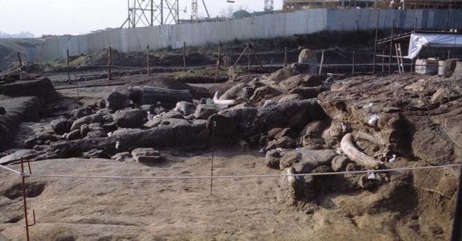 Parte dell’area di scavo degli anni ’80, oggi compresa nello spazio museale